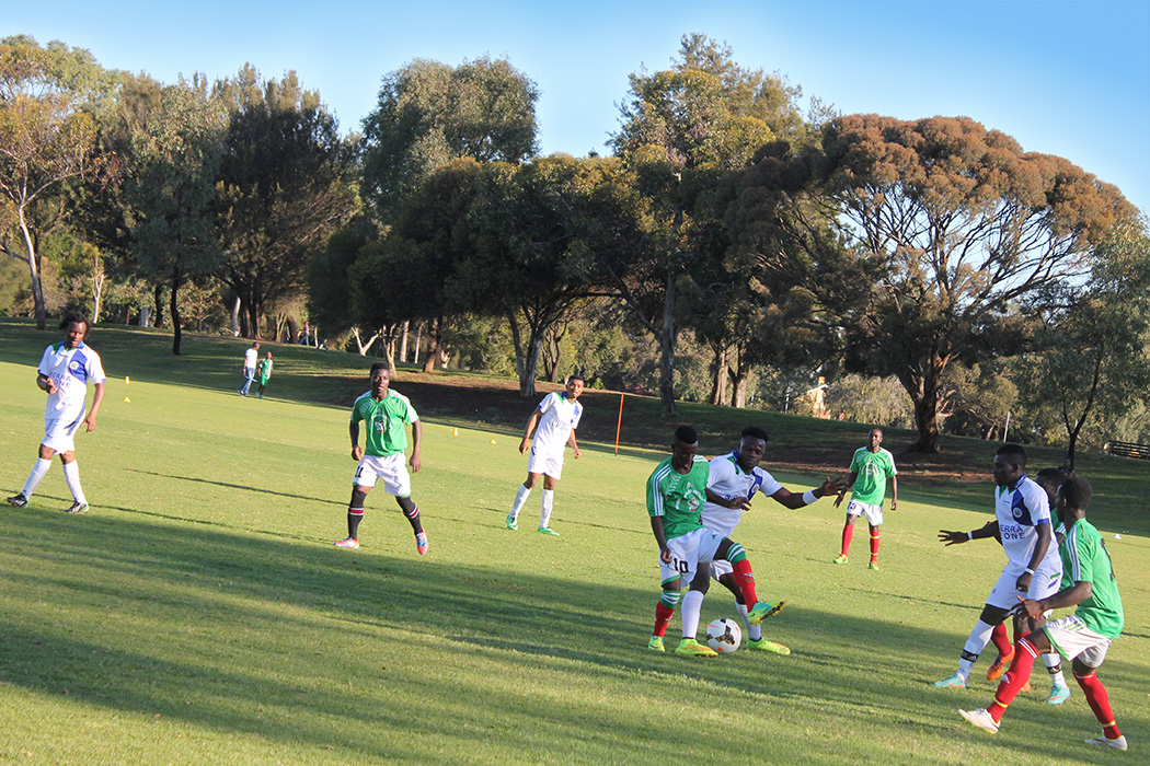 soccer african nations cup